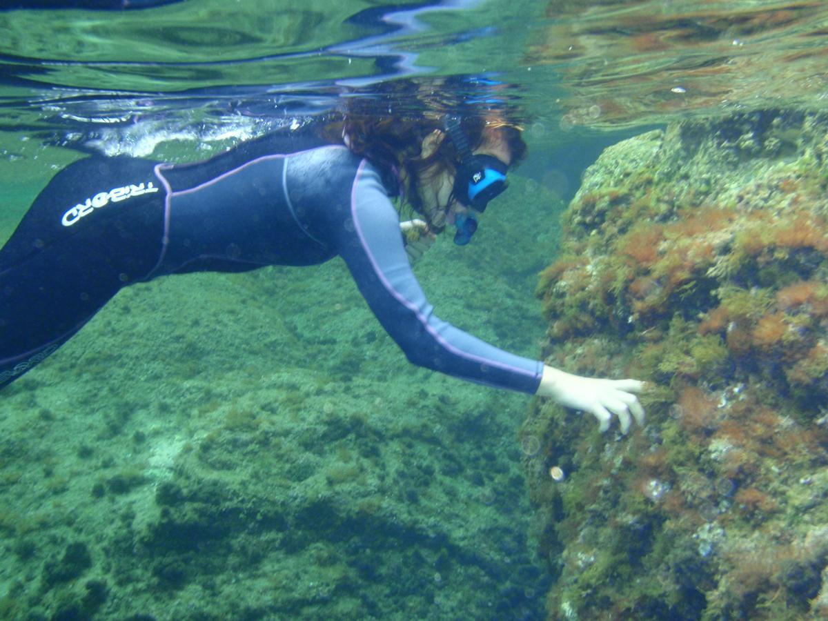 Alberg Costa Brava Llanca Bagian luar foto